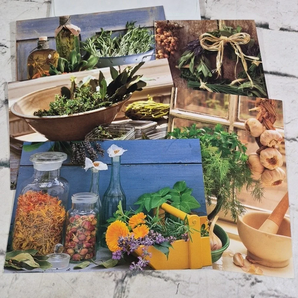 Rustic Living Botanical Herb Themed Note Cards Lot Of 5 Glossy Blank‎ Inside